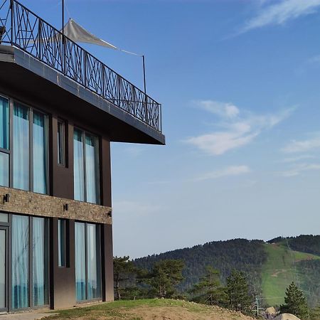 Vila Onyx Divčibare المظهر الخارجي الصورة